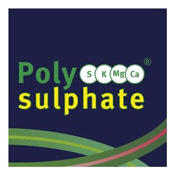 Polysulphate