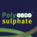 Polysulphate